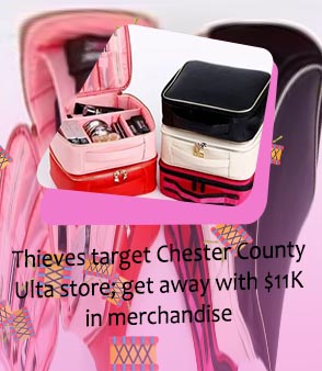 Small makeup bag target